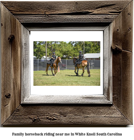 family horseback riding near me in White Knoll, South Carolina